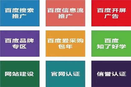 某某企业SEM推广成功案例：打造品牌营销新模式